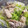 栗恵光まま's cooksnap of when they made とろり～ん鶏もも肉と白菜の蒸し煮.
