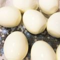 ギルモア's cooksnap of when they made 失敗なし！ゆで卵が一瞬で剥ける裏ワザ✨.