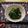 ☆hikonyan☆'s cooksnap of when they made 簡単一品＊栄養たっぷりほうれん草のナムル.