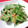 ゆみっちぇ's cooksnap of when they made 簡単！おいしい！モロッコいんげんのマヨネーズあえ.