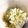 1男4女のママ's cooksnap of when they made レンジで簡単＊白菜のツナ和え.