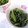 Kありす's cooksnap of when they made 茹でずに簡単★ほうれん草のゴマあえ.