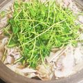 リンリン☆☆☆'s cooksnap of when they made 豆苗のササっと鍋.