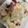 わたるんママ's cooksnap of when they made 簡単早い！タコとキャベツのガーリック炒め.