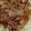 さやぞ～'s cooksnap of when they made 豚の生姜焼きの本当に美味しい作り方.