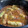 まおみか's cooksnap of when they made 冷凍ロールキャベツで簡単トマトの煮物.