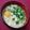 SUNMOONMOM's cooksnap of when they made インスタントラーメン アレンジ 醤油編.