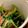 MULA's cooksnap of when they made 小松菜とベーコンの炒め物.