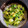ひさかた's cooksnap of when they made 料理上手見え？青梗菜とアボガドの和え物.