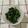 miya姉's cooksnap of when they made 大根の葉の漬物.