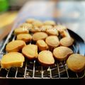 のーかのむすめ's cooksnap of when they made アイスボックスクッキー.
