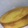 ユカtoマオマオ's cooksnap of when they made 究極！材料３つ！簡単スポンジケーキ☆.