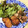 わたさな2016's cooksnap of when they made 旬の秋鮭で♪鮭の唐揚げ.
