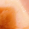 クックHJB3B6☆'s cooksnap of when they made 【疲れた体に】大根ポタージュ.
