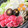 U☆kaoru's cooksnap of when they made みんなで楽しいすき焼き♪割下なしで簡単！.