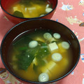 赤い電話's cooksnap of when they made 豆腐とわかめとネギの味噌汁.