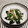 バカリャウ's cooksnap of when they made ５分で、ニラとさつま揚げのわさび醤油和え.