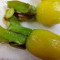 シューひろちゃん's cooksnap of when they made キウイ☆ピーラーで簡単な皮のむき方.