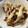 ベティ３'s cooksnap of when they made 焼ききのこのピクルス【作り置き】.
