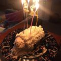 kemeka's cooksnap of when they made ハリネズミのクリスマスケーキ.
