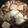 ＊ripi＊'s cooksnap of when they made すき焼きっぽい肉豆腐.