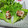ぱふ♪'s cooksnap of when they made 【簡単おつまみ】納豆のレタス巻き.