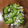 クックL8U9HI☆'s cooksnap of when they made 所要時間５分♪ピーマンとしらすの簡単和え.