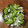 クックL8U9HI☆'s cooksnap of when they made 所要時間５分♪ピーマンとしらすの簡単和え.