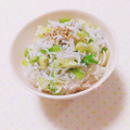 まあまま☆0403's cooksnap of when they made とろとろネギとしらすのご飯.