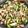 みこひろママ's cooksnap of when they made 豚バラときゅうりの中華風炒め.