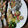Katz☆Hitz's cooksnap of when they made 中華ちまき.