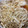いっぺい99's cooksnap of when they made レンジで簡単＊えのきのおろしガリポン和え.