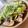 クックY3D88H☆'s cooksnap of when they made イカ下足のキャベツ炒め.