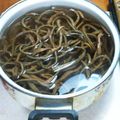 cococo710's cooksnap of when they made 干しゼンマイの戻し方〜改定版〜.