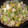 鶏皮坊主's cooksnap of when they made 豚白菜炒め　ねぎ塩味.