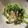 ベティ３'s cooksnap of when they made 小松菜ツナの卵炒め.