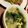 とろろ☆'s cooksnap of when they made ゴマ油と鶏ガラスープの若芽スープです。.