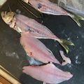 年中ねぼすけ's cooksnap of when they made アジの刺身　簡単な皮の剥ぎ方.