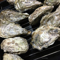 kimig's cooksnap of when they made 殻付き牡蠣のオーブン焼き.
