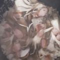 アクセル☆'s cooksnap of when they made ドレッシングで簡単❤舞茸の炊き込みご飯.