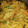 ブランシュkuu's cooksnap of when they made ずっとこの味☆お母さんの豚こま炒め.