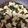 こうりん☆'s cooksnap of when they made 簡単麻婆豆腐.