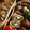 ガメコ's cooksnap of when they made のりをクルクルしっとり甘～い卵焼き☆.