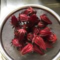 三太夫どの's cooksnap of when they made ローゼルジャム.