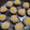 ゆうまいズ's cooksnap of when they made あの味を目指したシュウマイ.