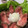 クックHAL1PS☆'s cooksnap of when they made 放置で簡単すぎる温泉卵♡.