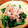 こずっぺ's cooksnap of when they made ゆでない！法蓮草のお浸し.
