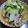 まりん１２２３'s cooksnap of when they made 豚肉とチンゲン菜のオイスターソース炒め.