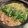 ビーちゃんマム's cooksnap of when they made 家庭の味★ 博多もつ鍋.