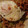 さぁ★たぁ★'s cooksnap of when they made 目玉焼きのせ♪簡単焼きそば.